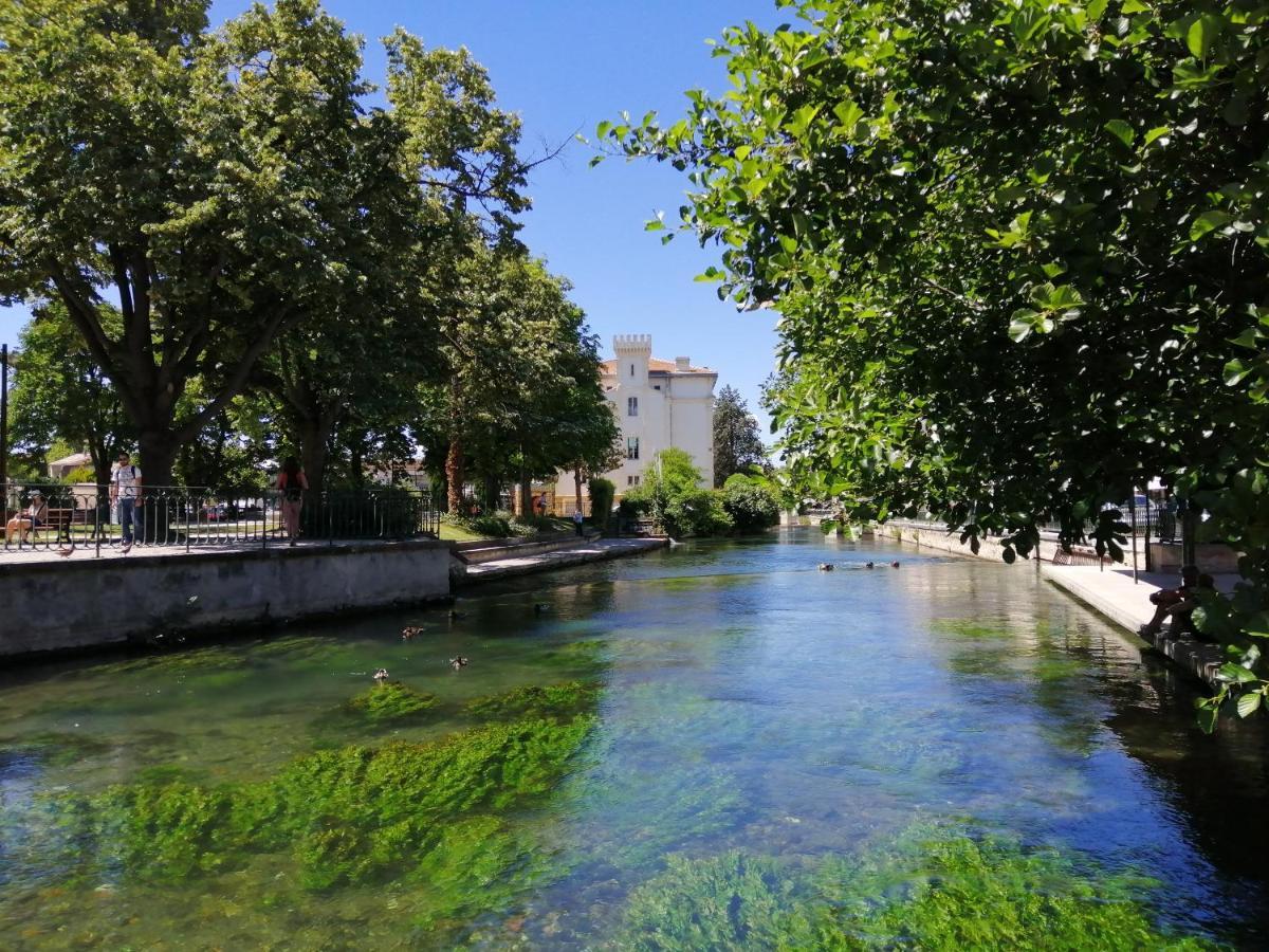 Le Petit Studio - 15 M2 - Centre Ville - Sorgue A 50 M LʼIsle-sur-la-Sorgue Buitenkant foto